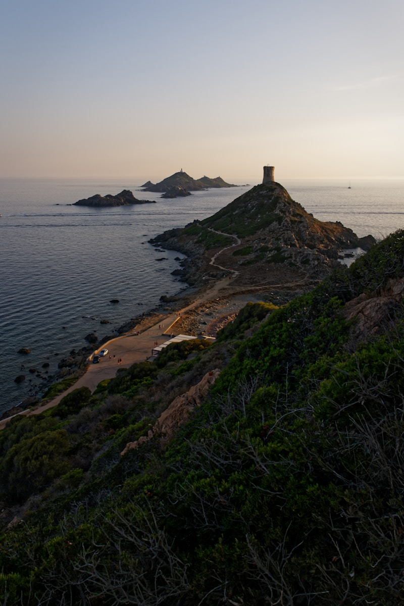 Calvi